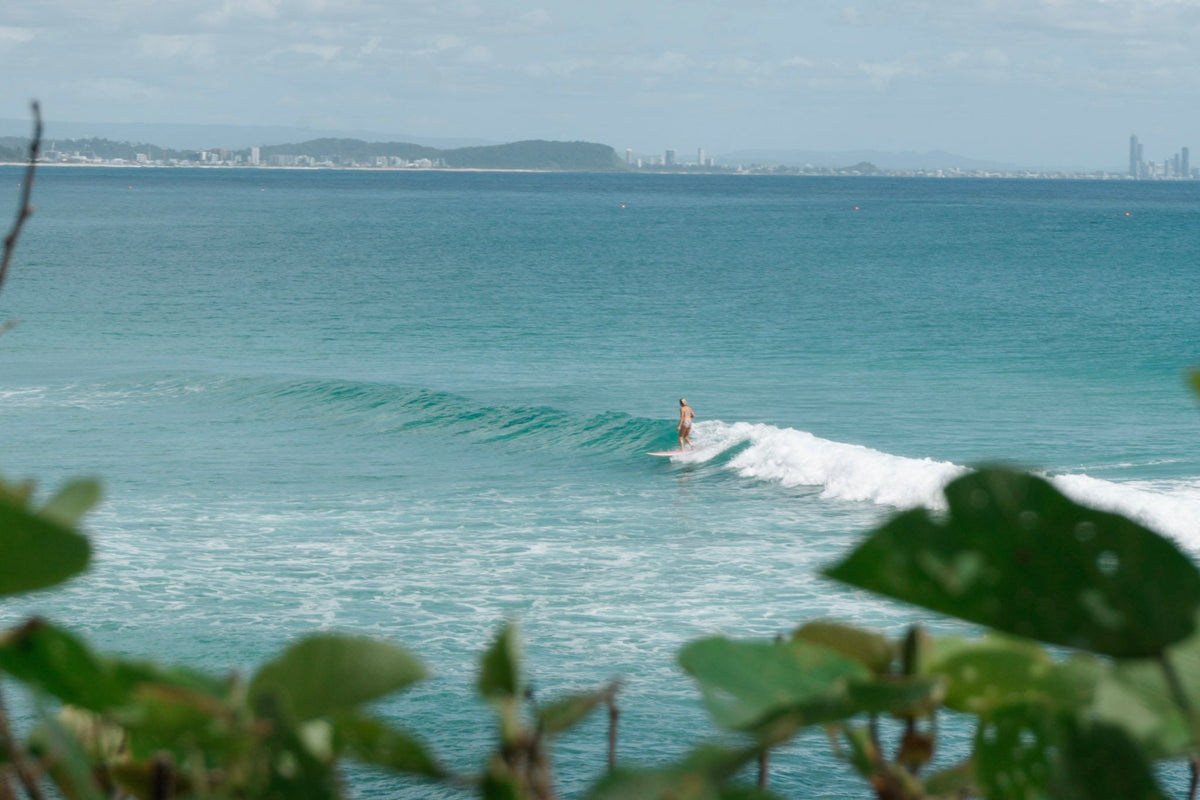 Meet Avalon Starick: Your Friendly Neighbourhood Board Shaper